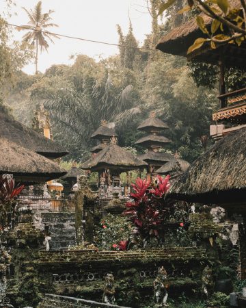 Rice Terrace Walk
